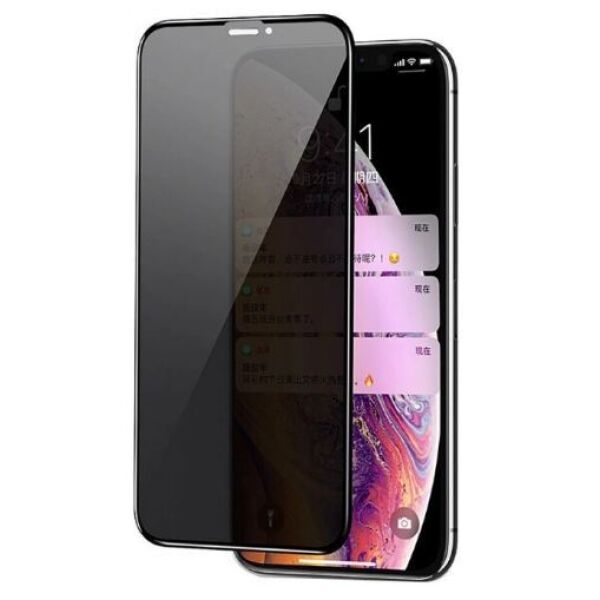 Защитное стекло CASE Full Glue Privacy (Антишпион) для Apple iPhone 11/XR (черный)